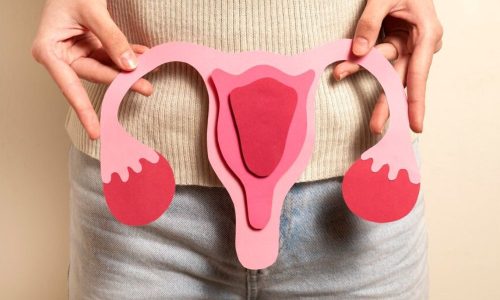 Vaginoplasty(0) Vaginoplasty